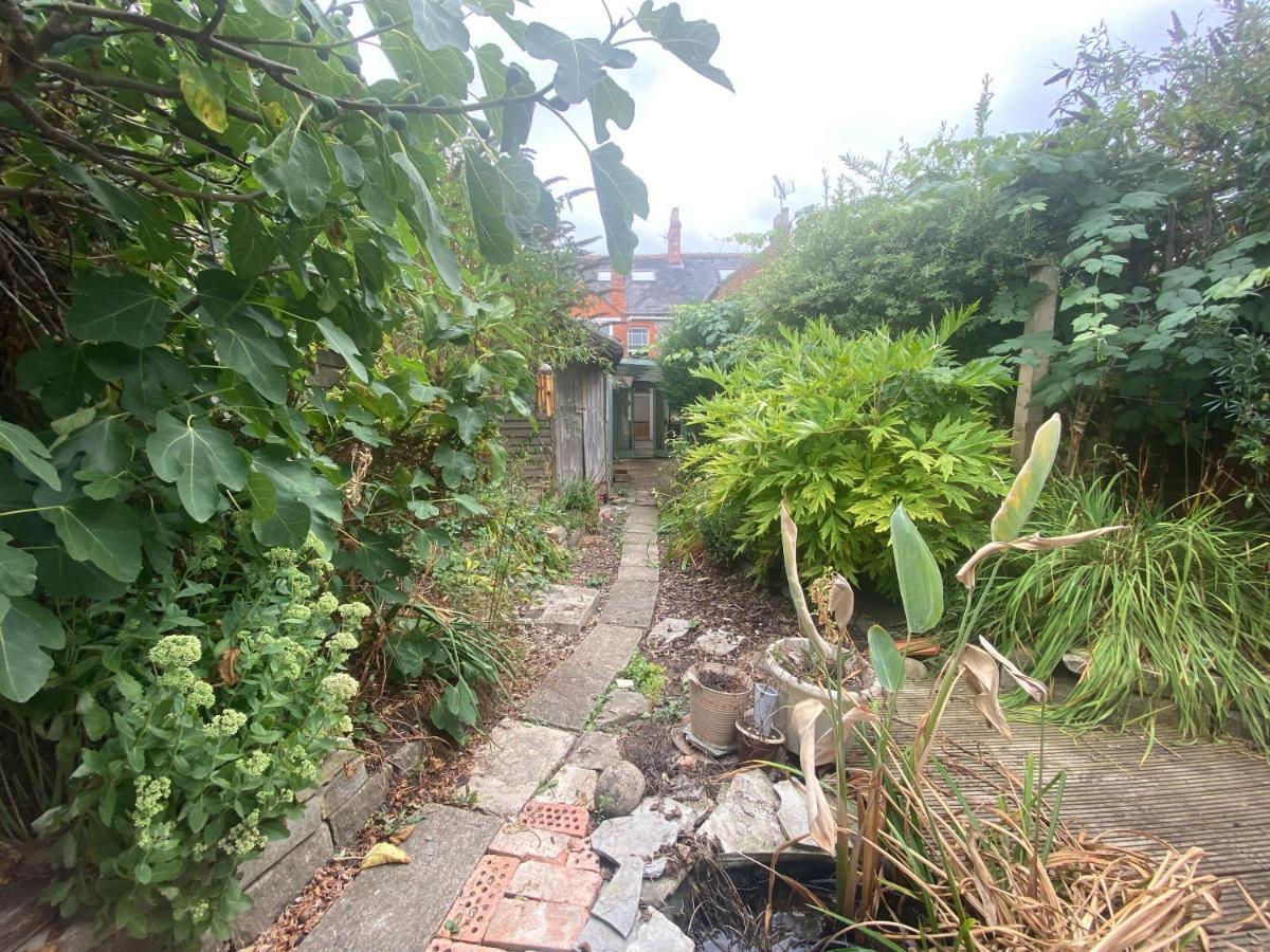 The Dragonfly Bnb, グラストンベリー エクステリア 写真