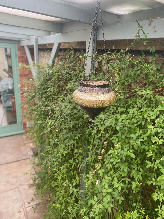The Dragonfly Bnb, グラストンベリー エクステリア 写真